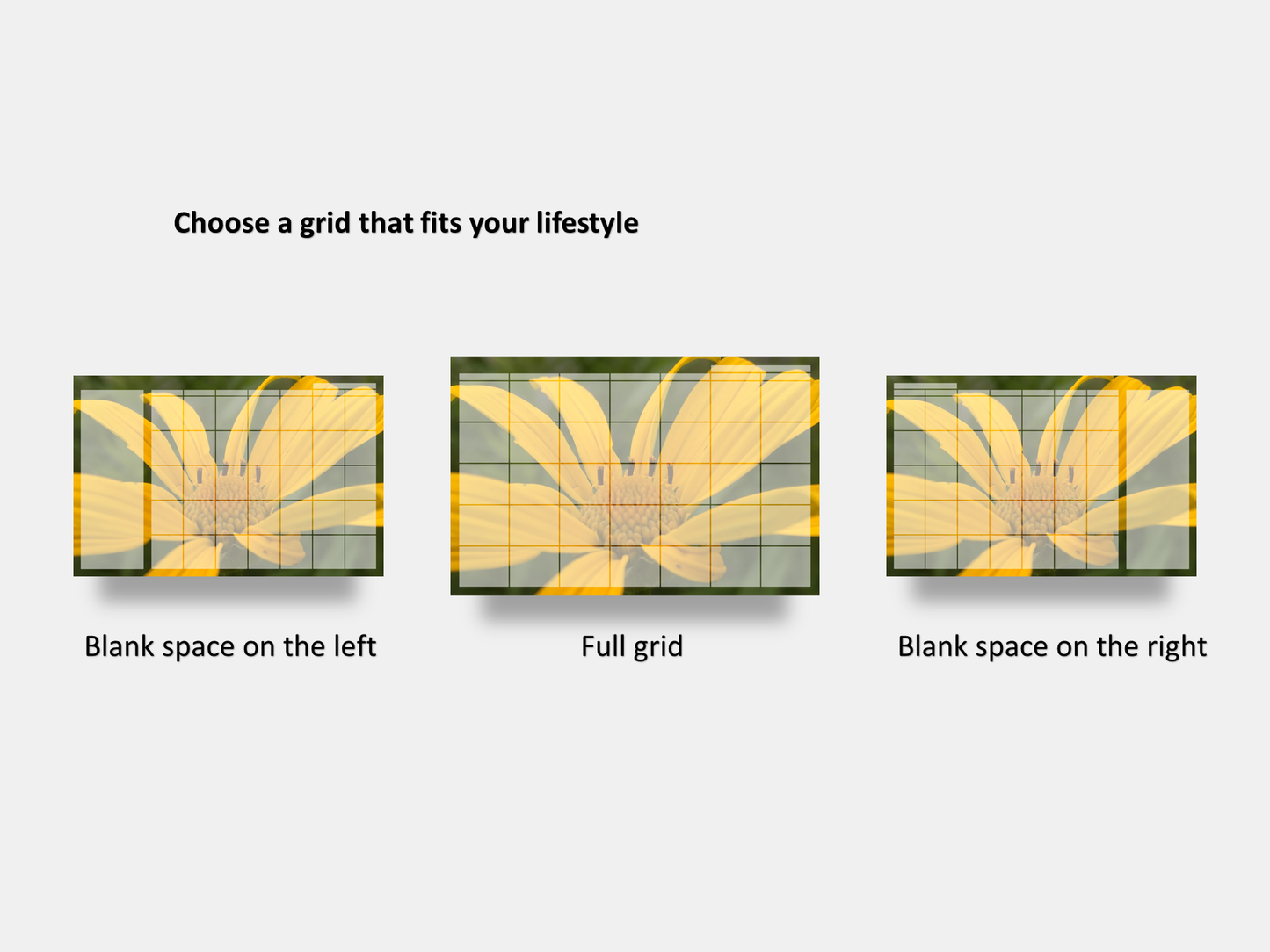 Digital Multipurpose Planner- False Sunflower Macro Photography 1