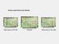Digital Multipurpose Planner- Green Fern