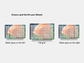 Digital Multipurpose Planner- Banded Cichlid Orange fish