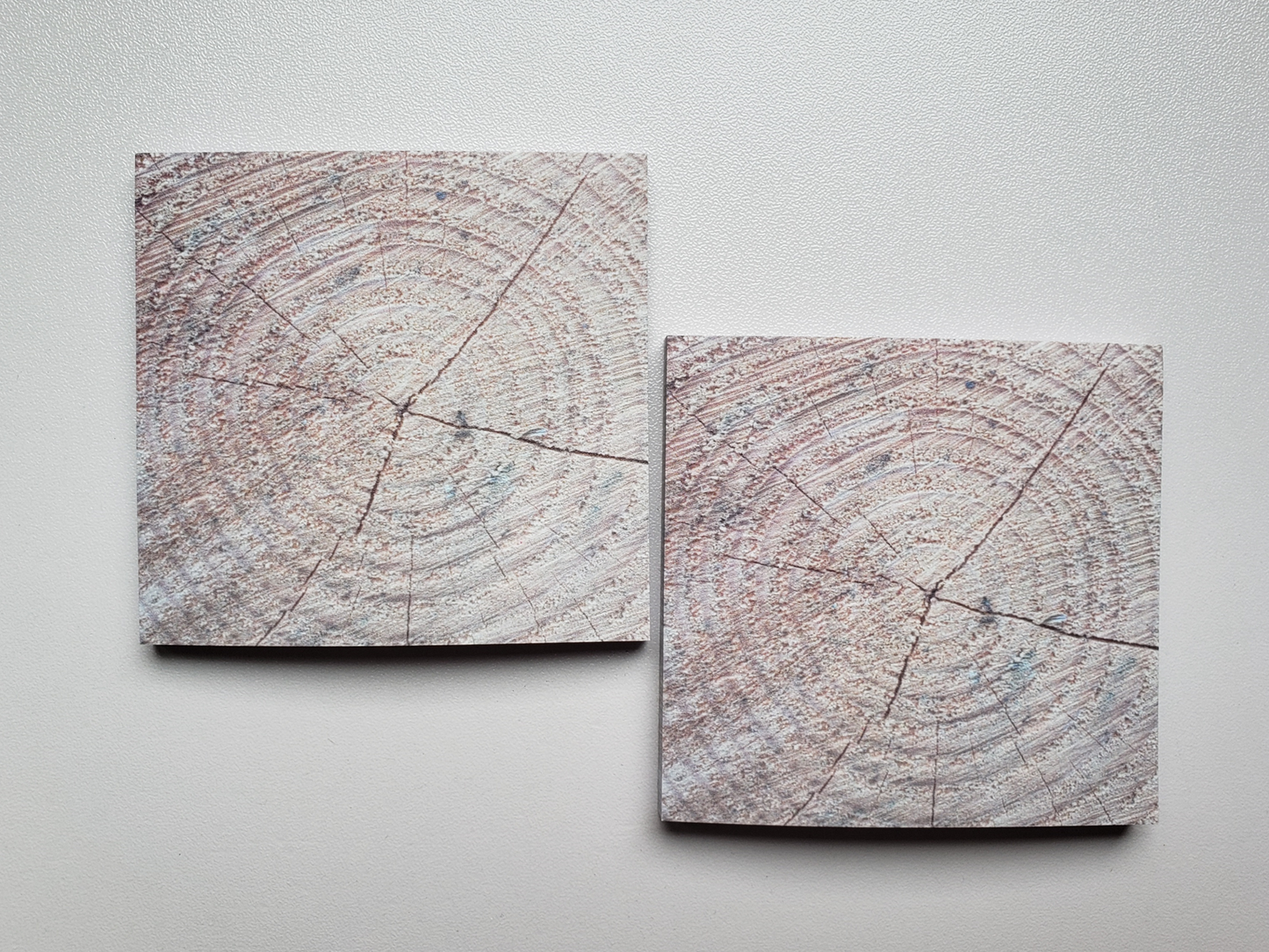Rustic Tree Ring Sticky Notes