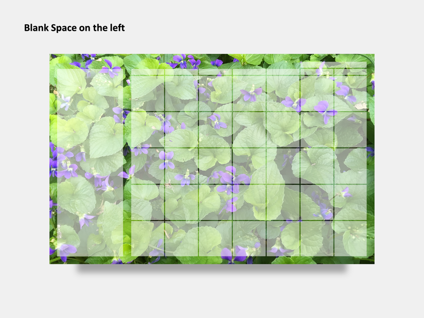 Digital Multipurpose Planner- A Field of Violets