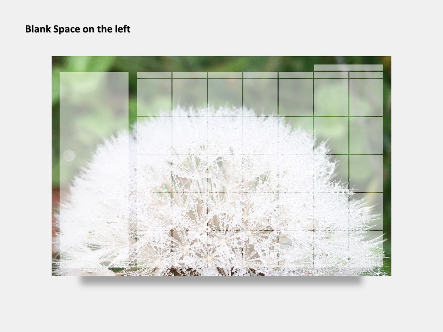 Digital Multipurpose Planner- Dandelion Make a Wish