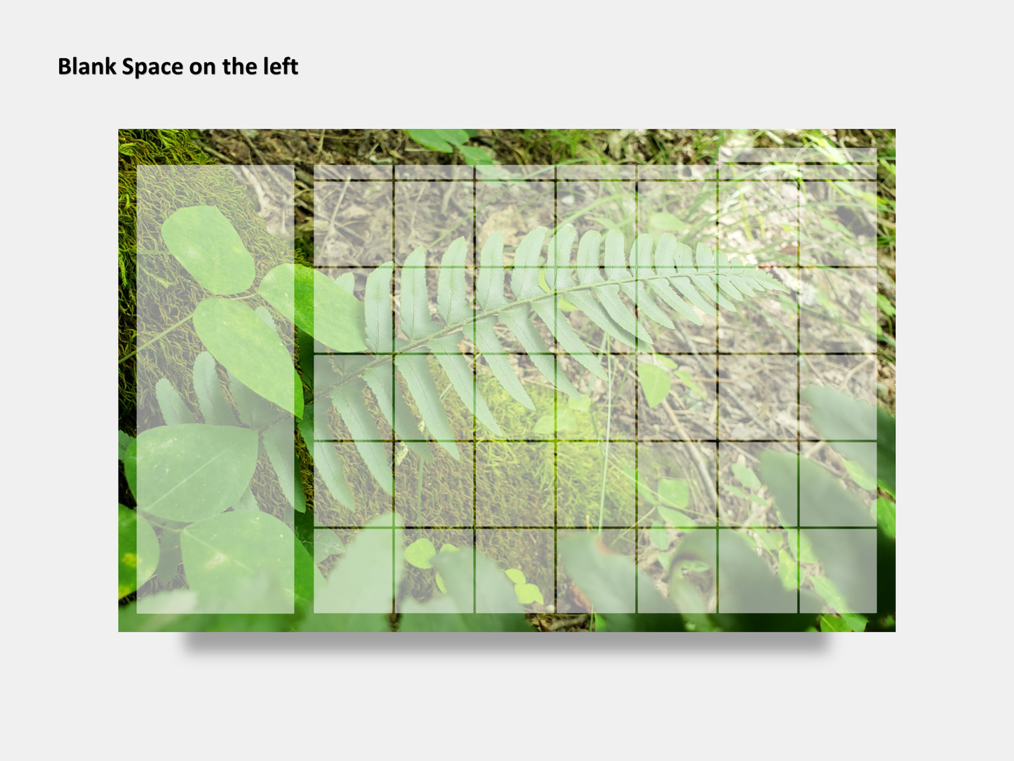 Digital Multipurpose Planner- Green Fern