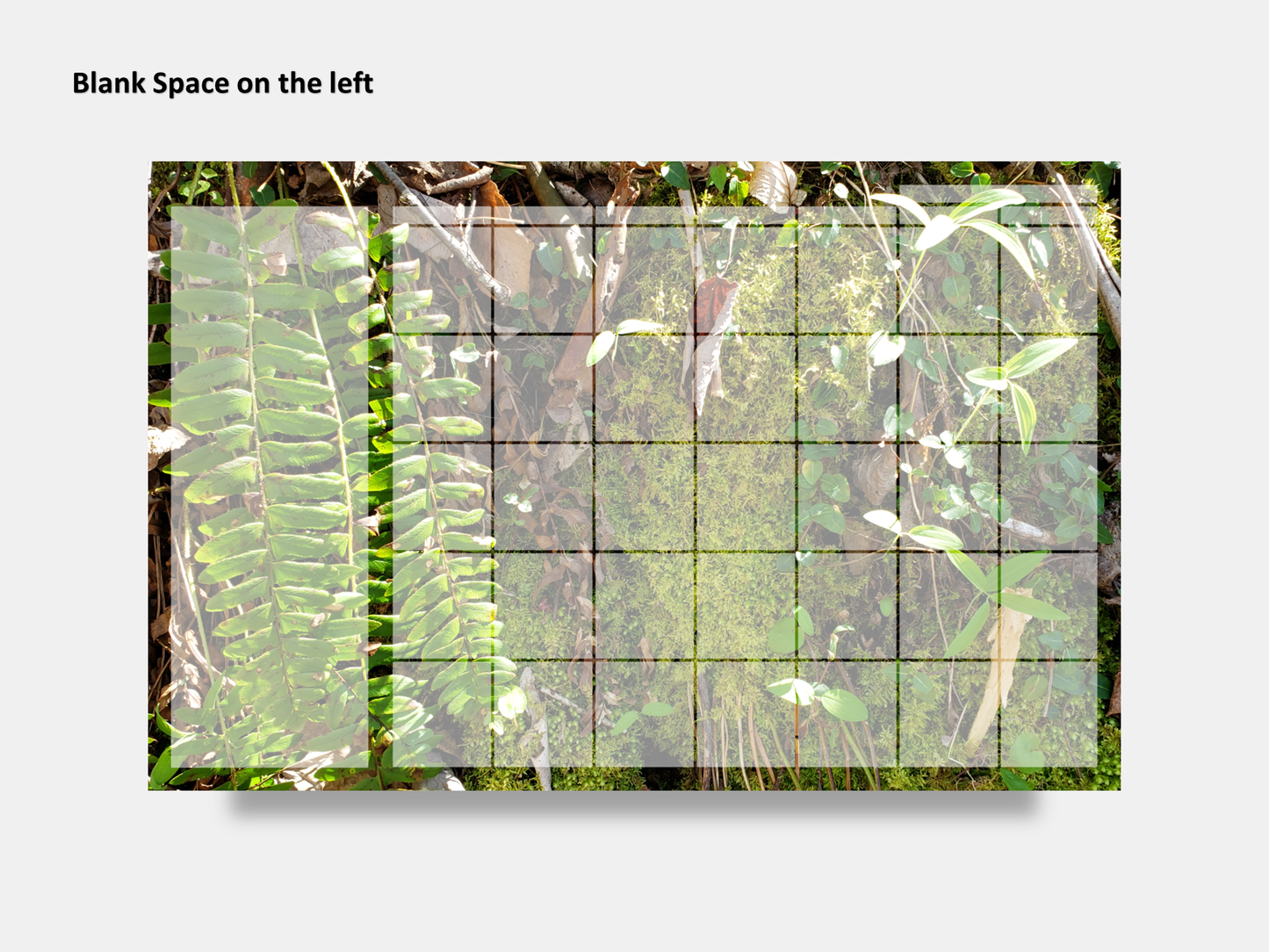 Digital Multipurpose Planner- A mossy cliff with ferns