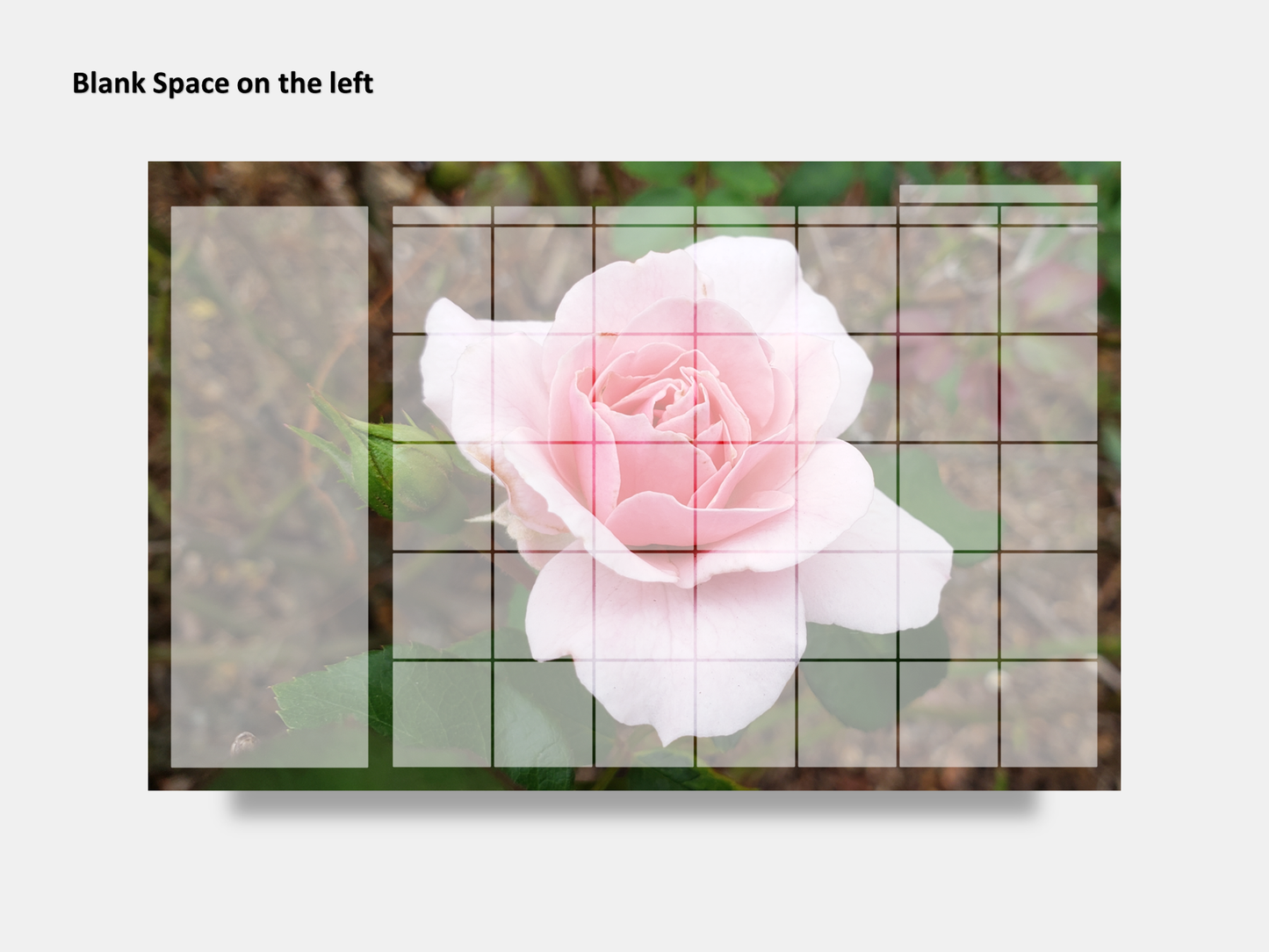 Digital Multipurpose Planner- Hybrid Pink Tea Rose