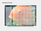 Digital Multipurpose Planner- Banded Cichlid Orange fish