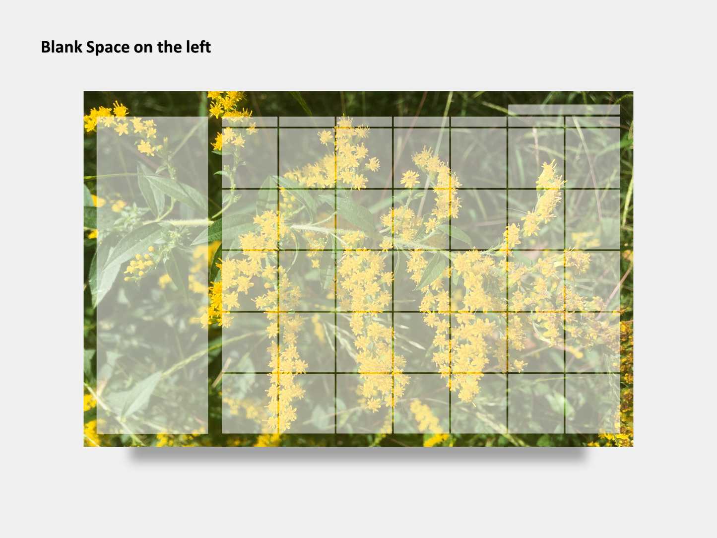 Digital Multipurpose Planner- Golden Rod Macro Photography 3