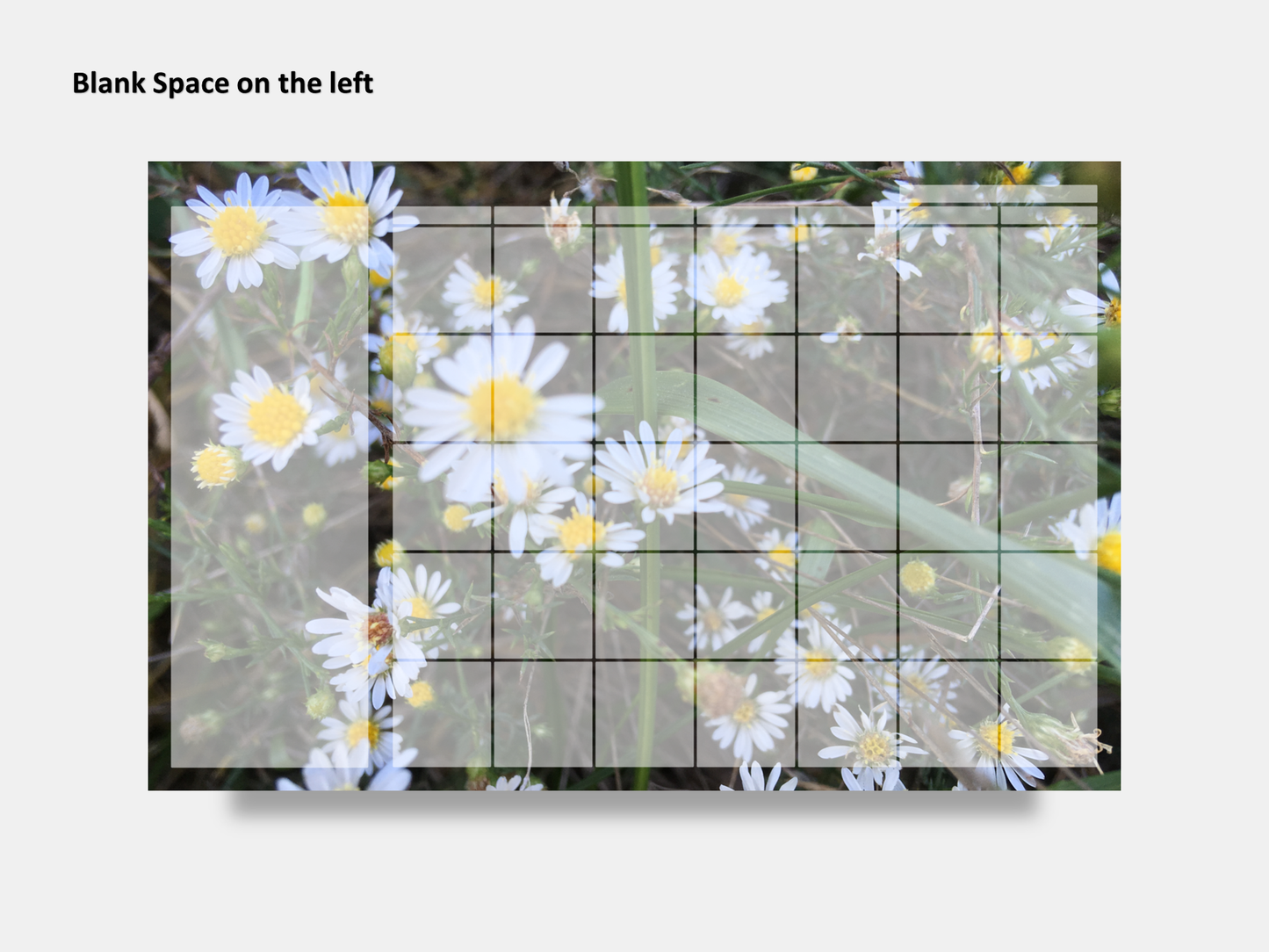 Dry Erase Magnetic Multipurpose Planner- Frost Aster Flowers