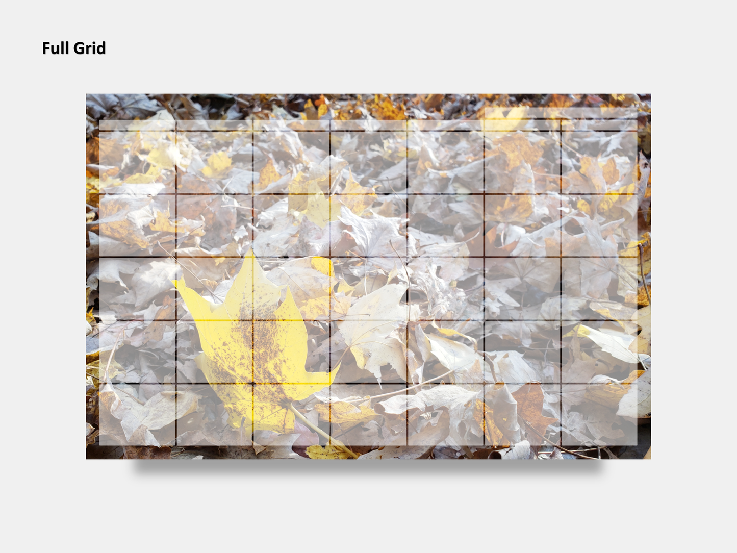 Digital Multipurpose Planner- A Golden Forest Floor