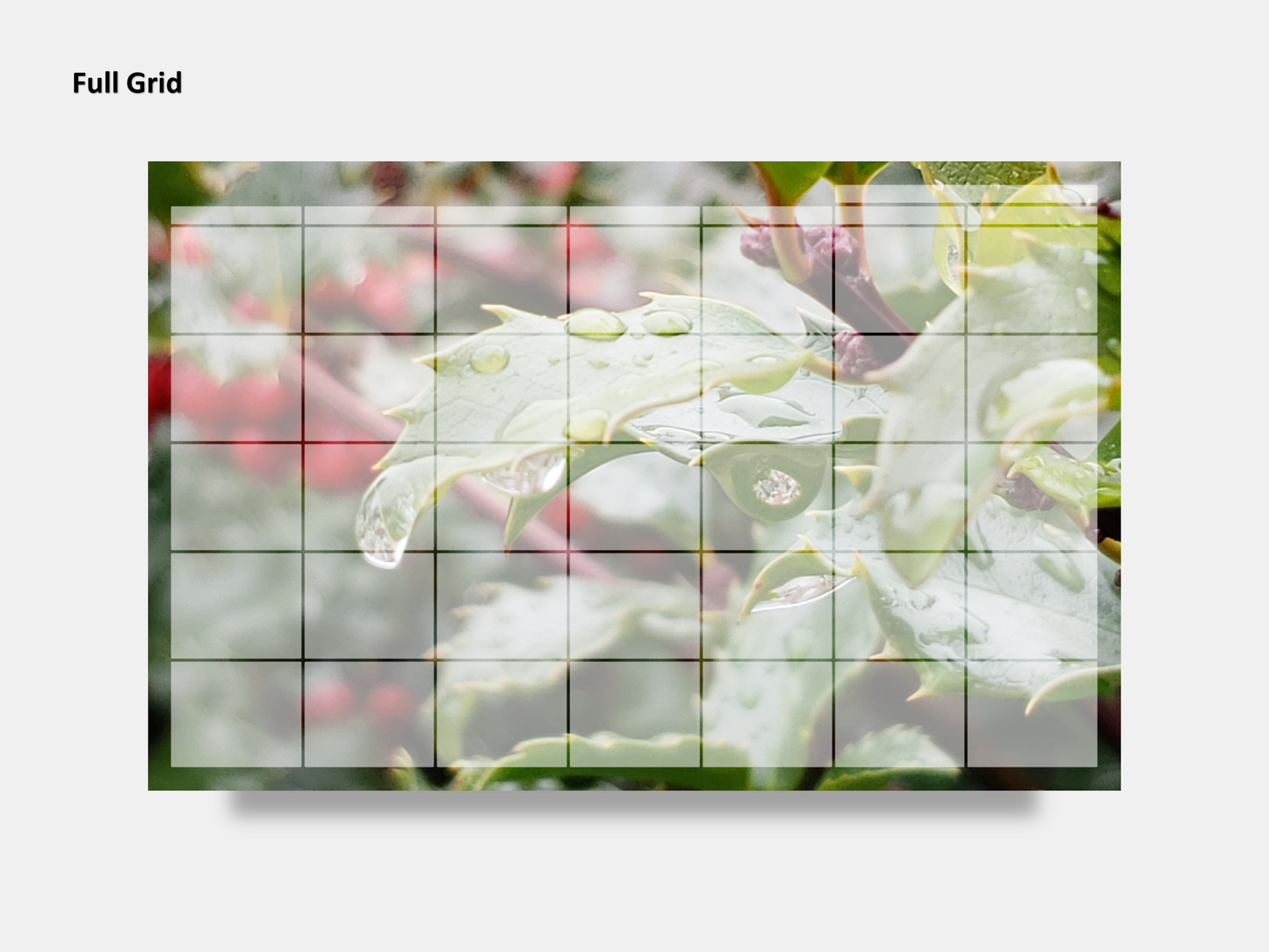 Digital Multipurpose Planner- Christmas Holly Plant Red Berries