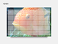 Digital Multipurpose Planner- Banded Cichlid Orange fish