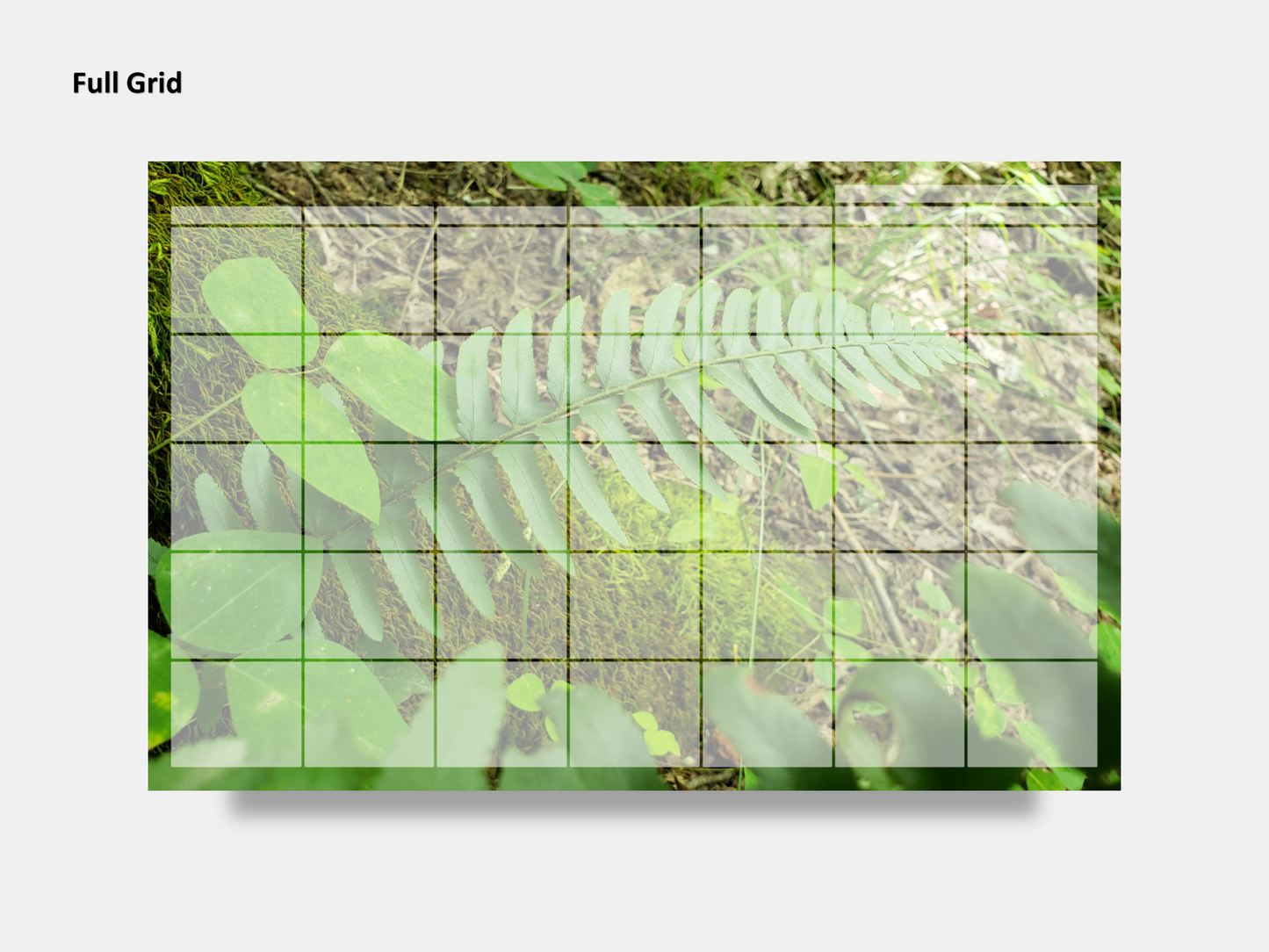 Digital Multipurpose Planner- Green Fern