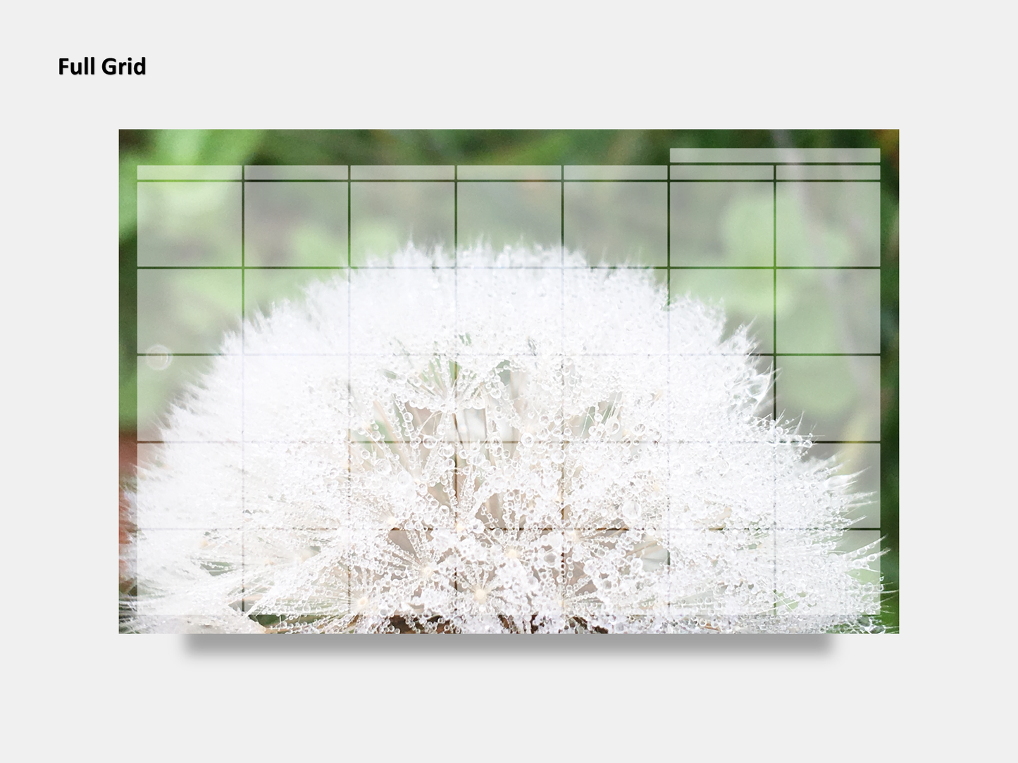 Digital Multipurpose Planner- Dandelion Make a Wish