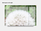 Digital Multipurpose Planner- Dandelion Make a Wish