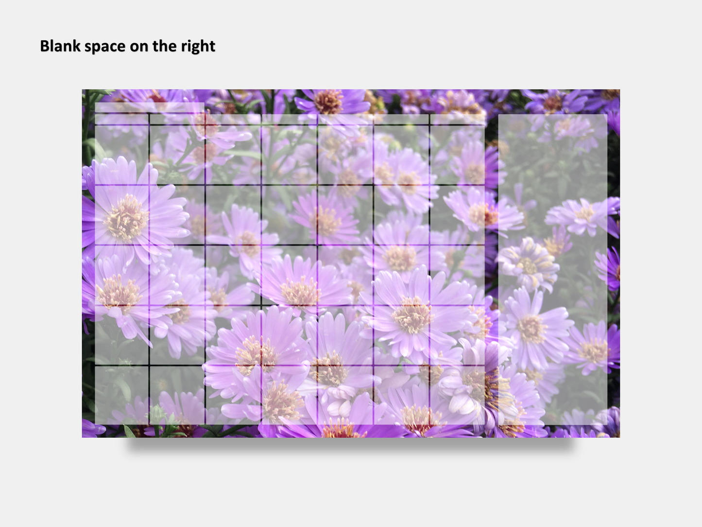 Digital Multipurpose Planner- Purple Asters 2