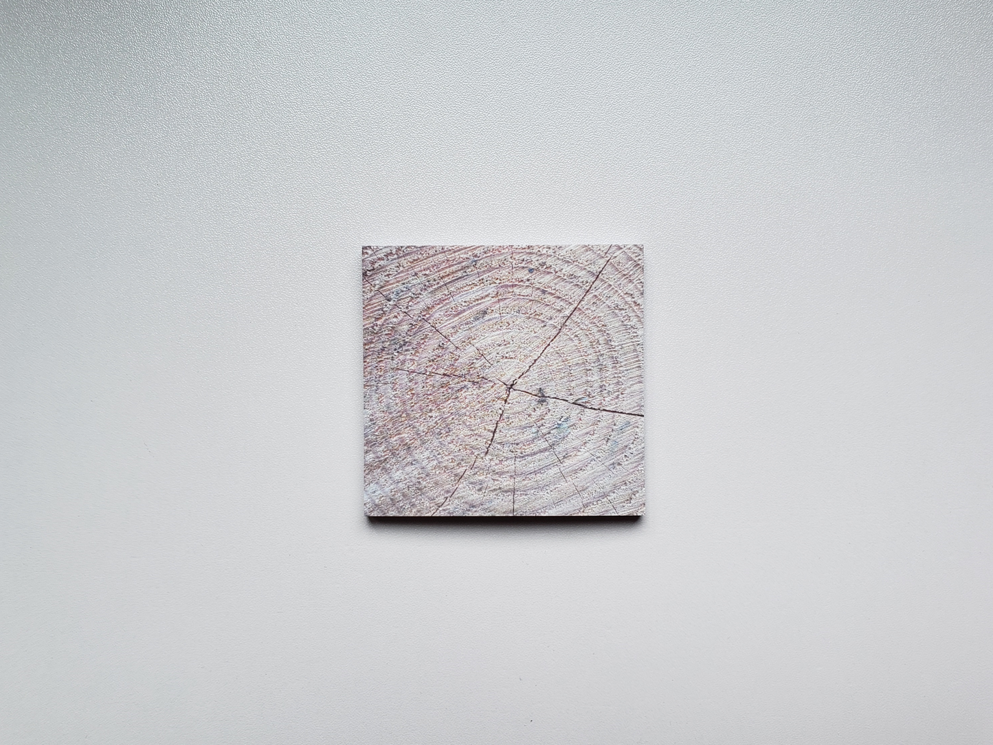 Rustic Tree Ring Sticky Notes