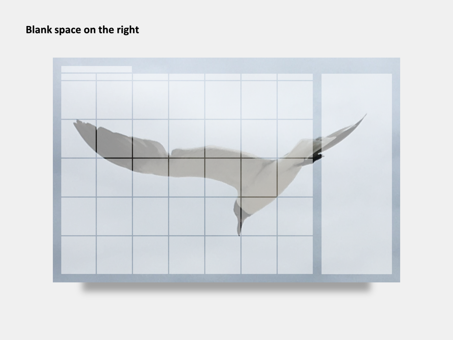 Digital Multipurpose Planner- Flying Seagull Macro Photography