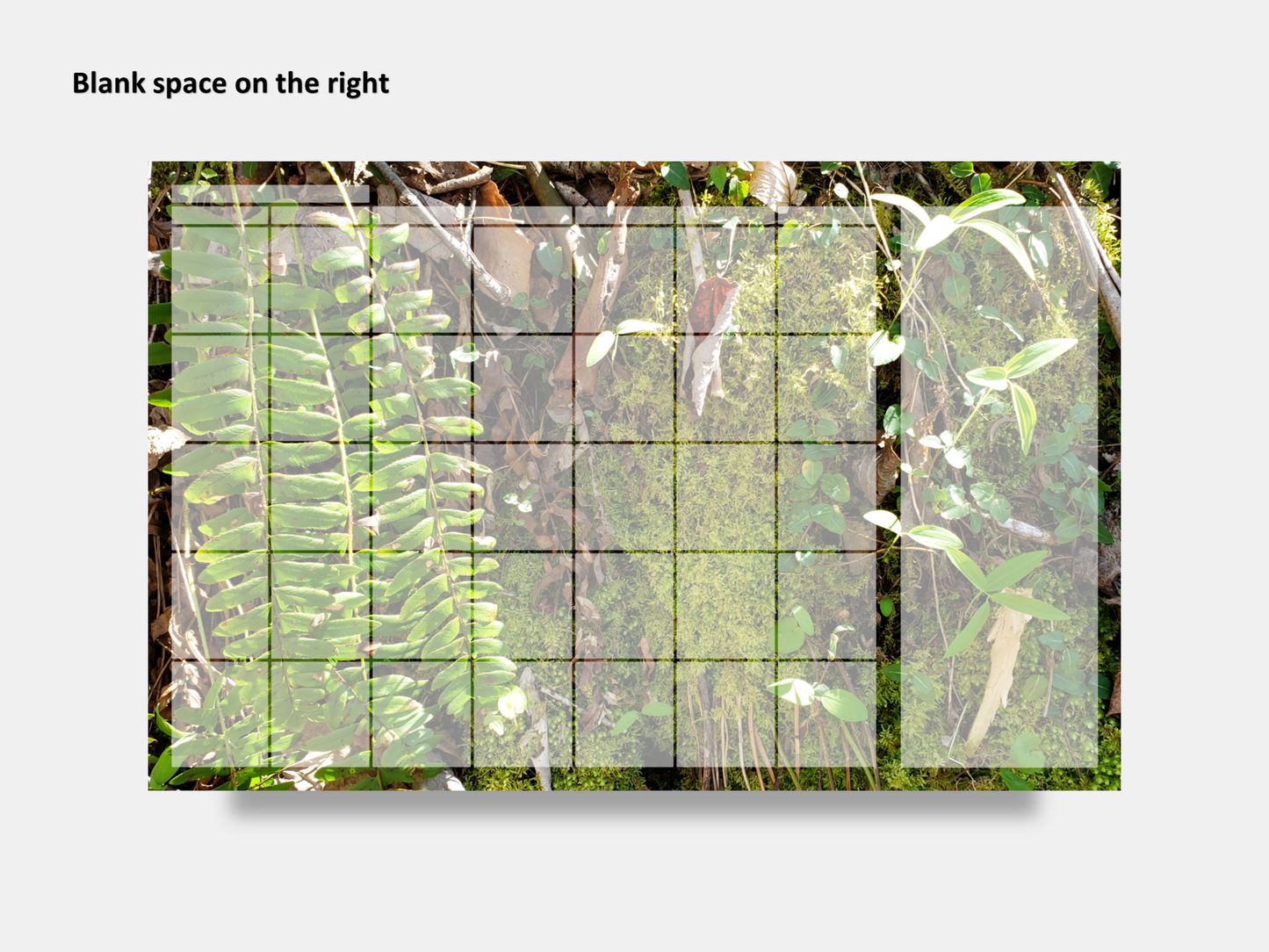 Digital Multipurpose Planner- A mossy cliff with ferns