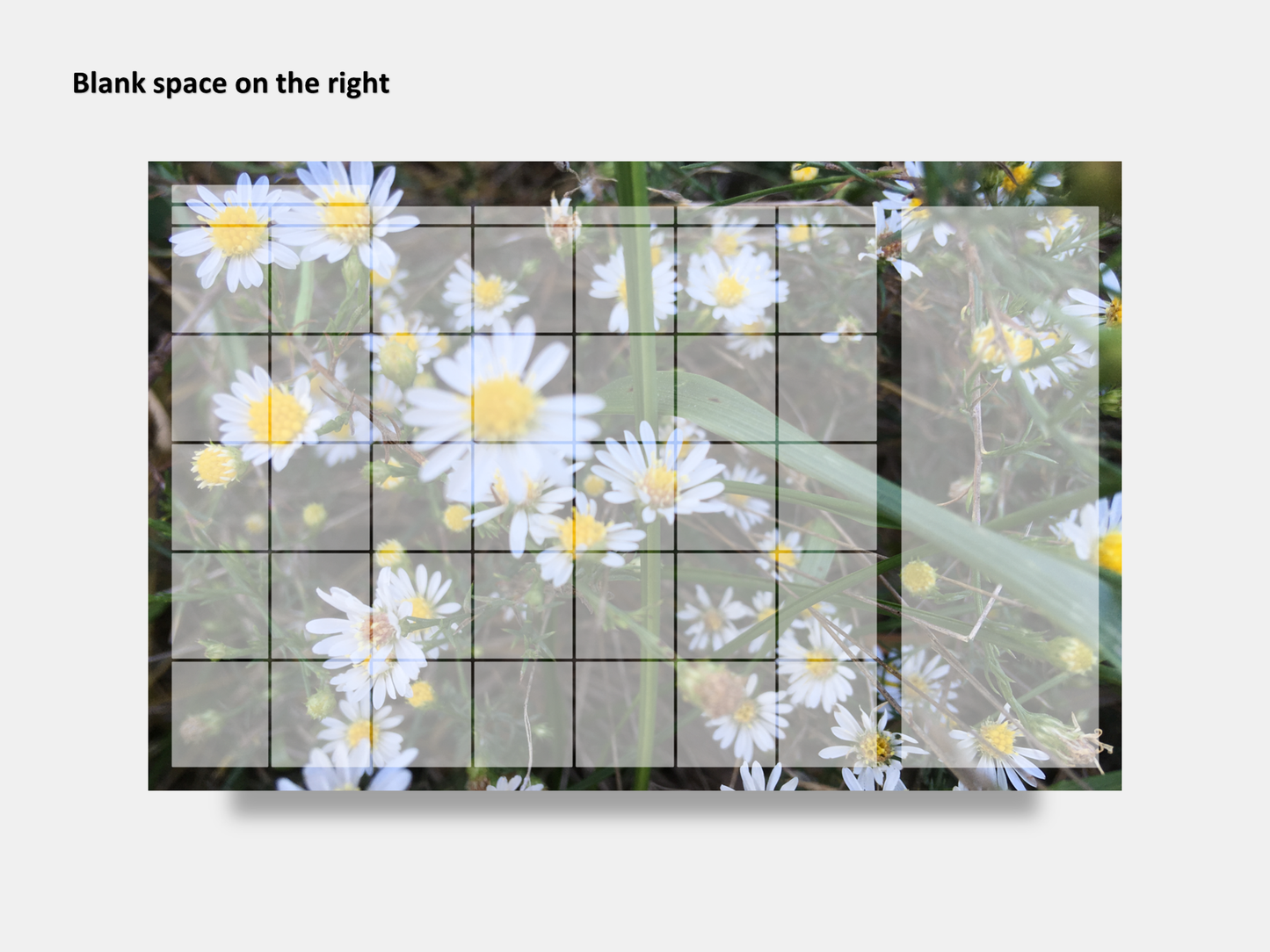 Dry Erase Magnetic Multipurpose Planner- Frost Aster Flowers