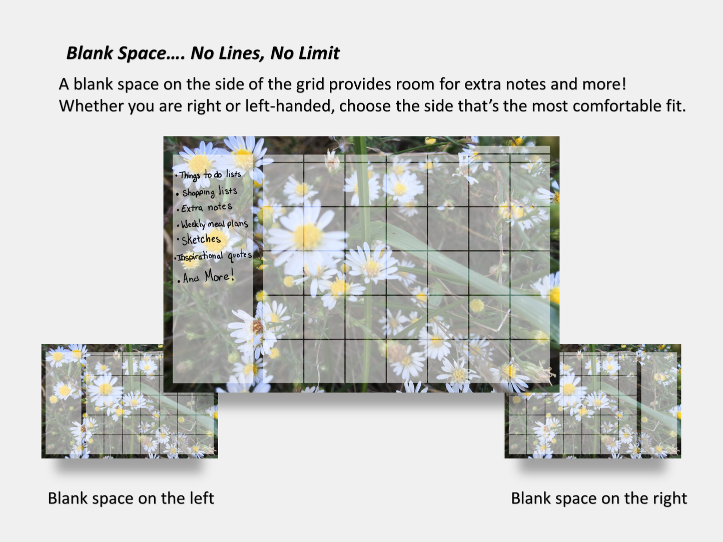Dry Erase Magnetic Multipurpose Planner- Frost Aster Flowers