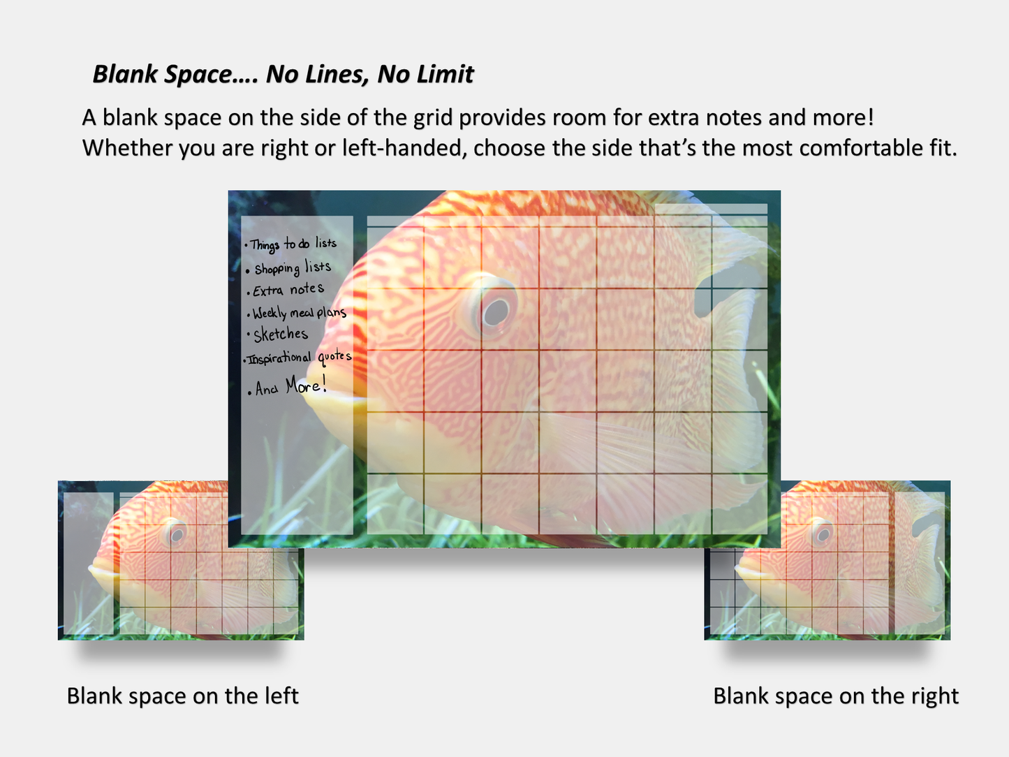 Dry Erase Magnetic Multipurpose Planner- Banded Cichlid Orange fish