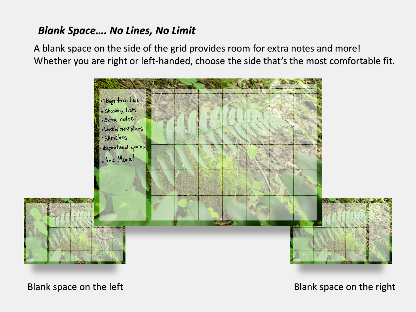 Dry Erase Magnetic Multipurpose Planner- Green Fern