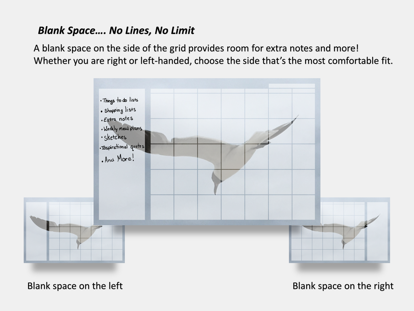 Dry Erase Magnetic Multipurpose Planner- Flying Seagull Macro Photography