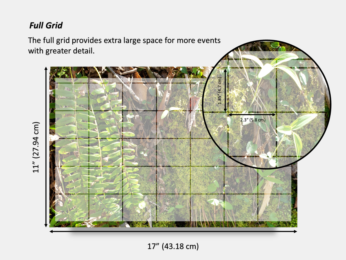 Dry Erase Magnetic Multipurpose Planner- A mossy cliff with ferns