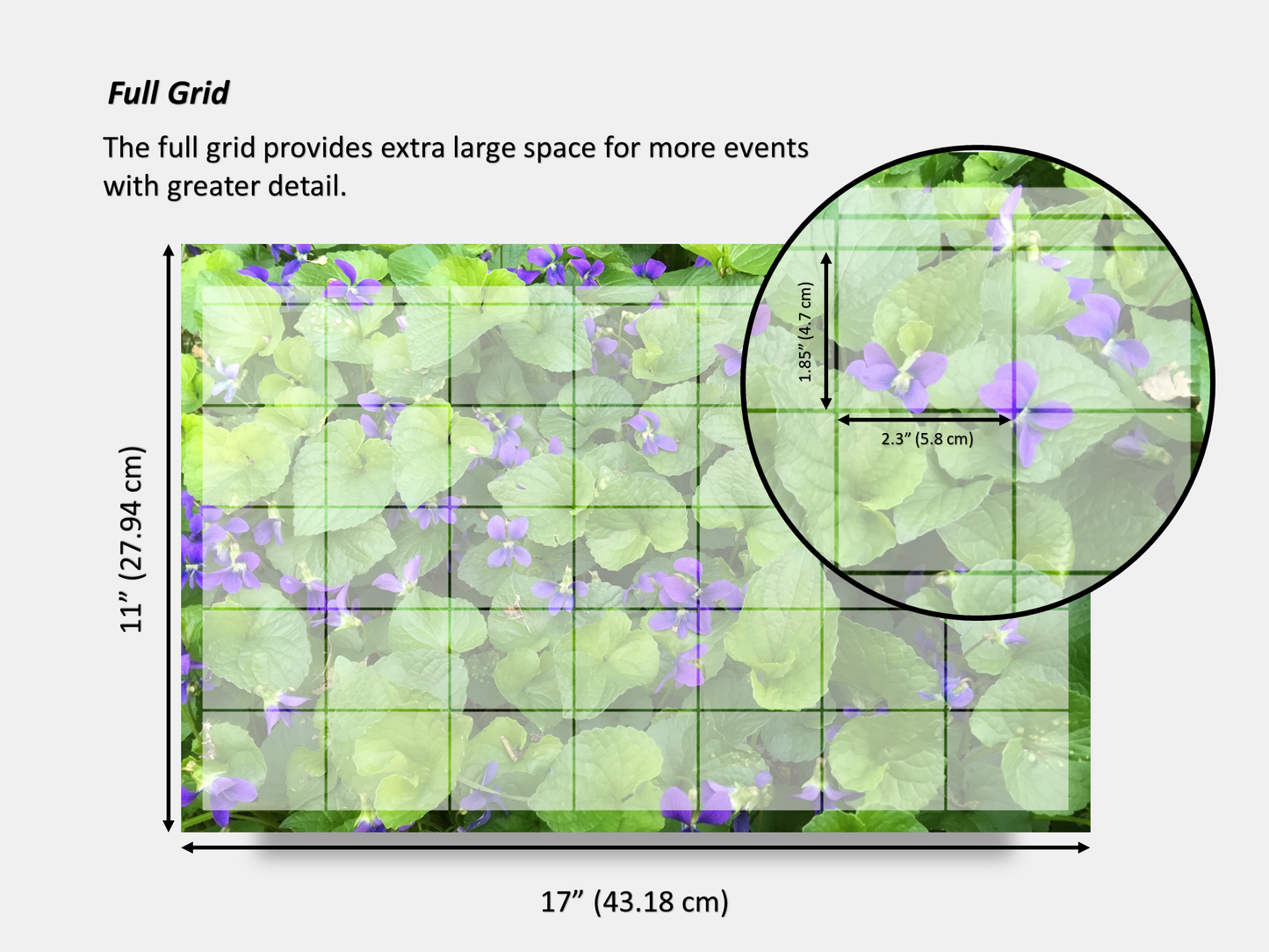 Digital Multipurpose Planner- A Field of Violets