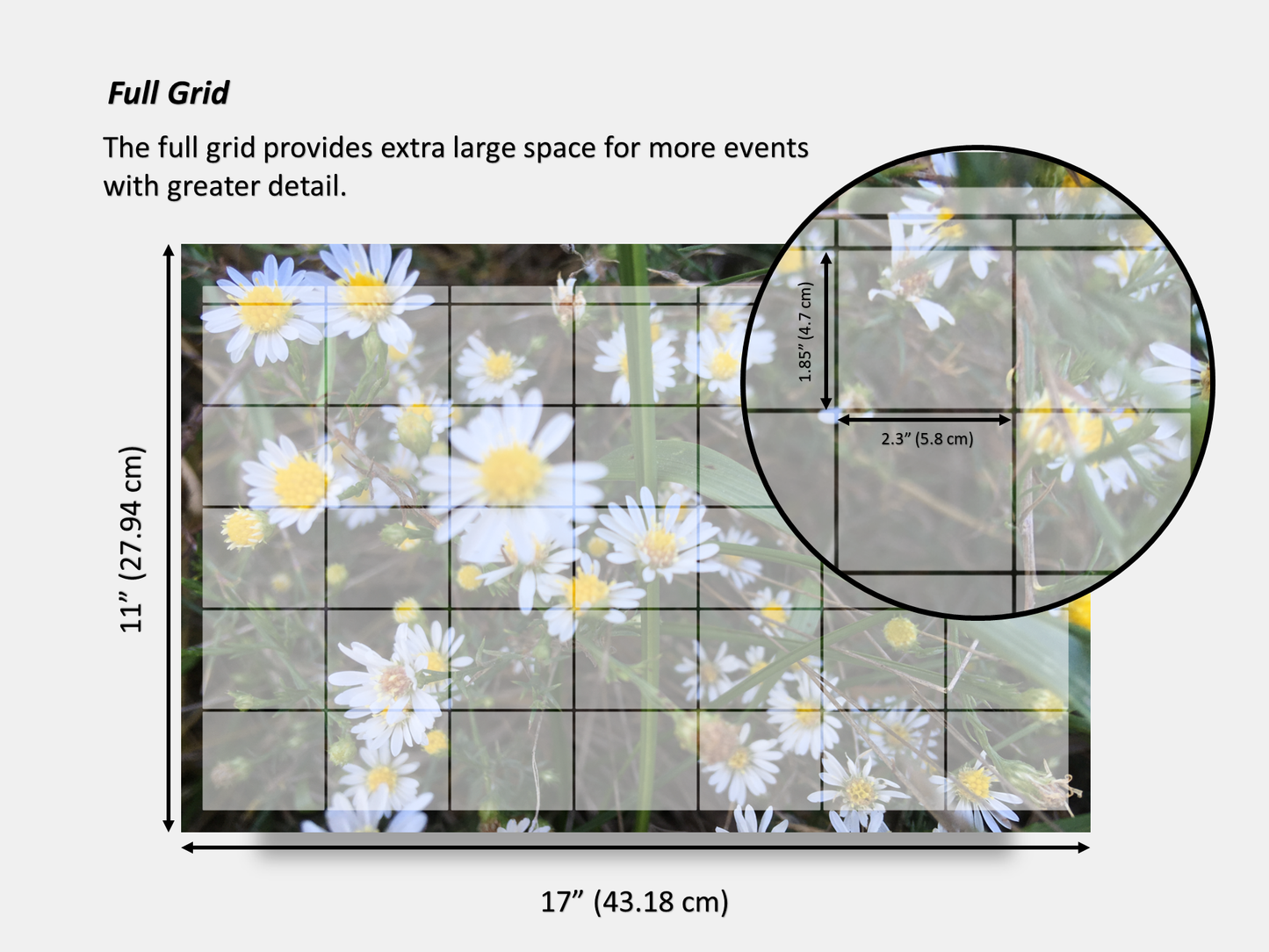 Dry Erase Magnetic Multipurpose Planner- Frost Aster Flowers