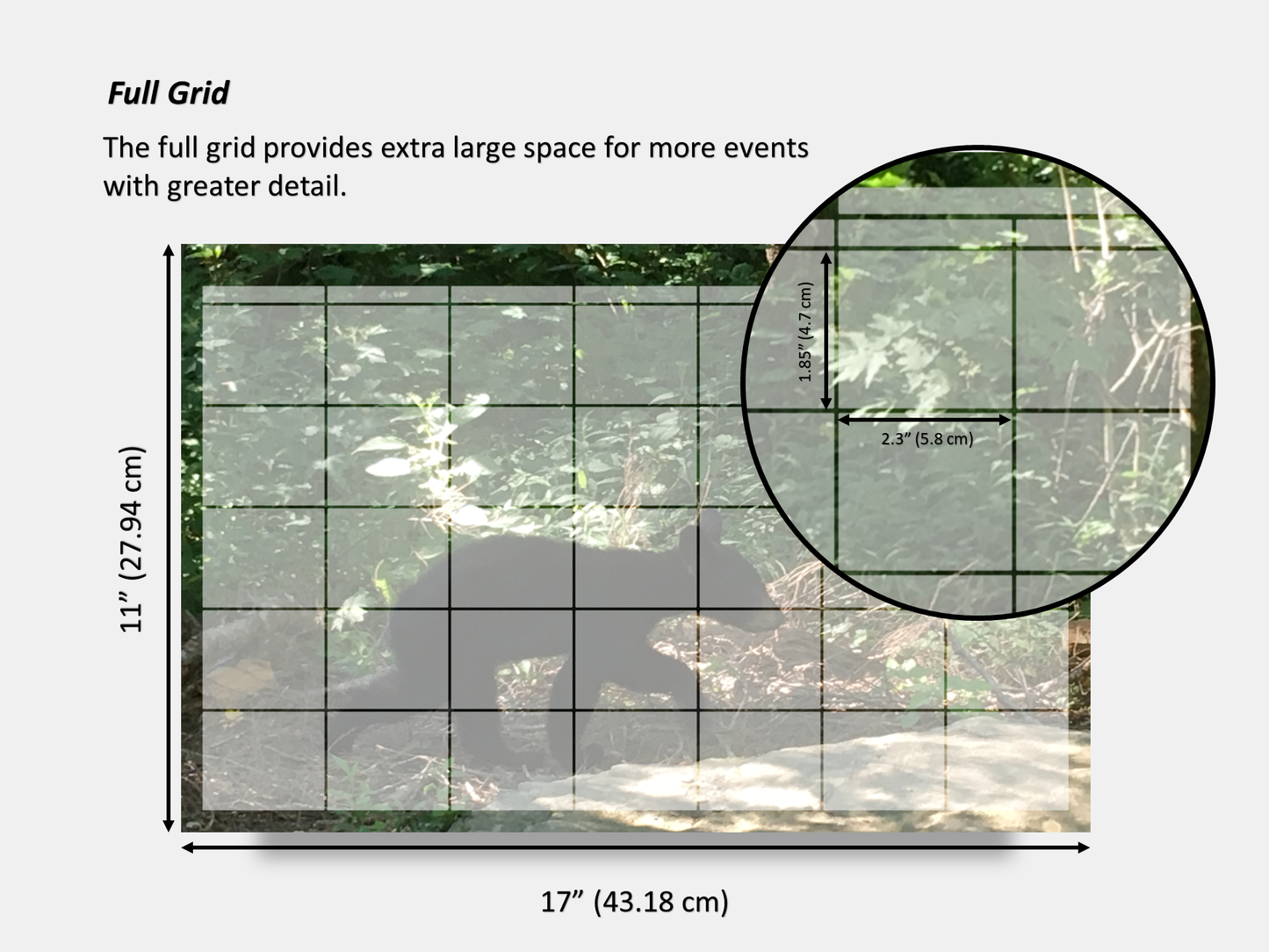 Digital Multipurpose Planner- Baby Black Bear