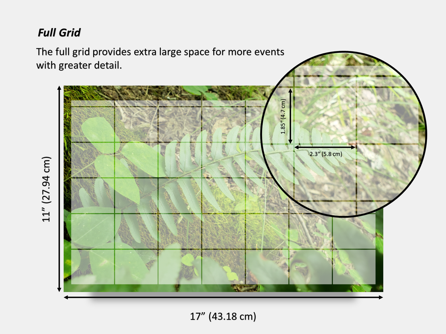 Dry Erase Magnetic Multipurpose Planner- Green Fern