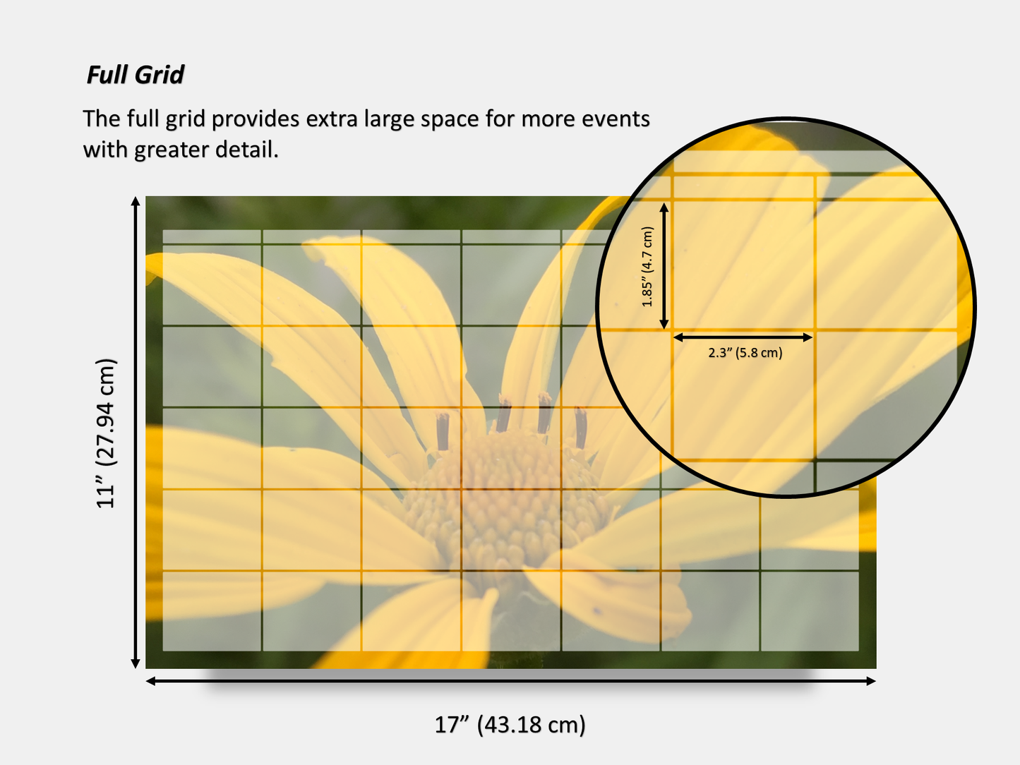 Dry Erase Magnetic Multipurpose Planner- False Sunflower Macro Photography 1