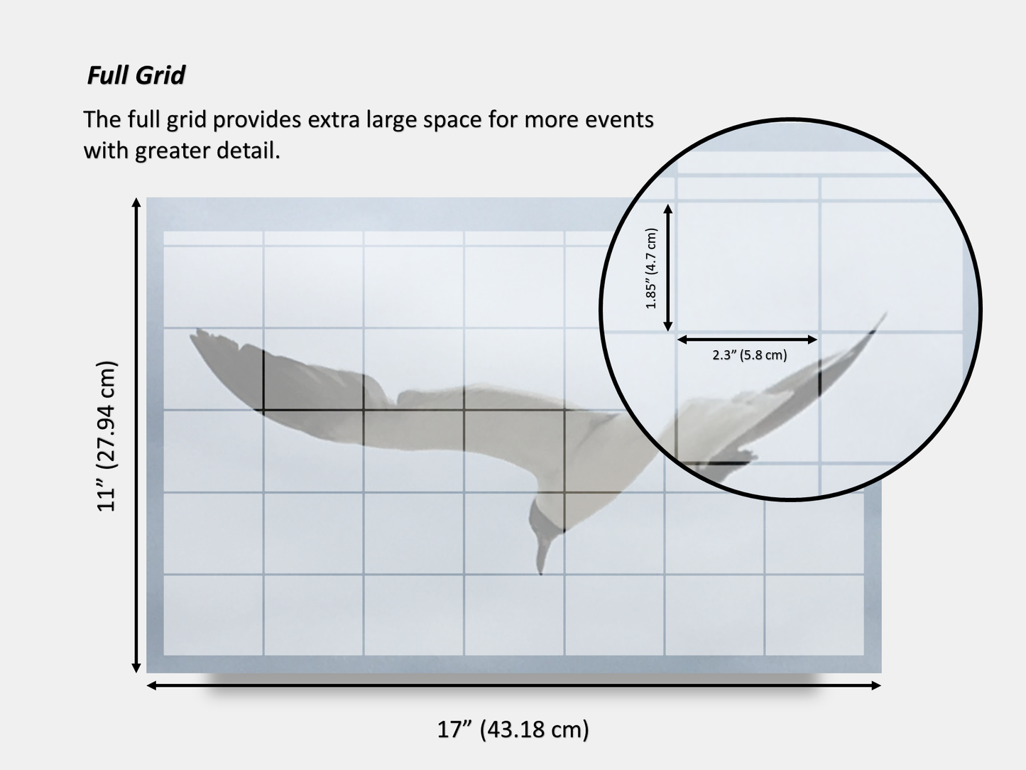 Digital Multipurpose Planner- Flying Seagull Macro Photography