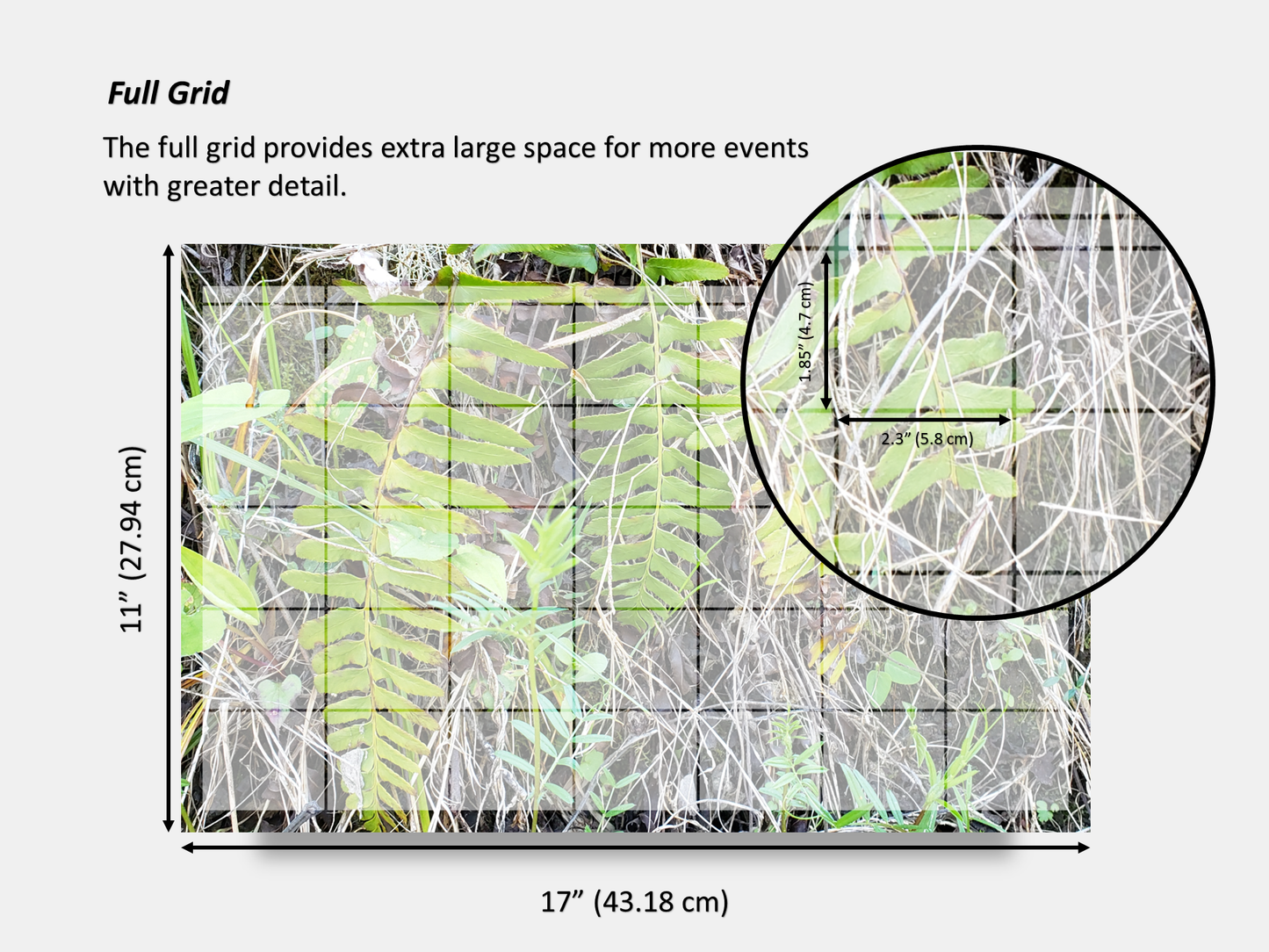 Dry Erase Magnetic Multipurpose Planner- A wall of green and yellow ferns