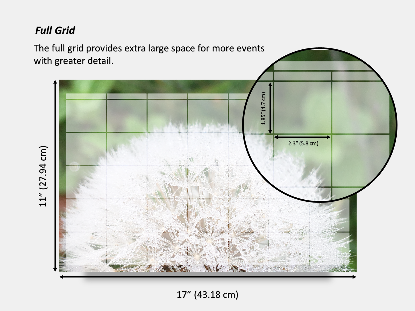 Digital Multipurpose Planner- Dandelion Make a Wish