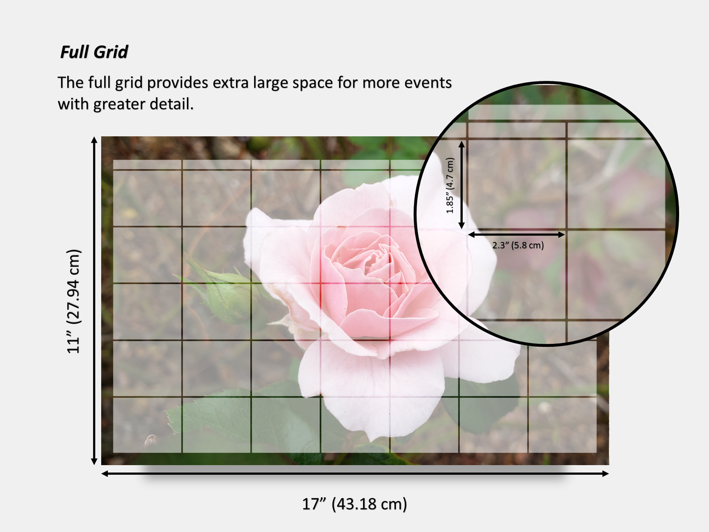 Digital Multipurpose Planner- Hybrid Pink Tea Rose