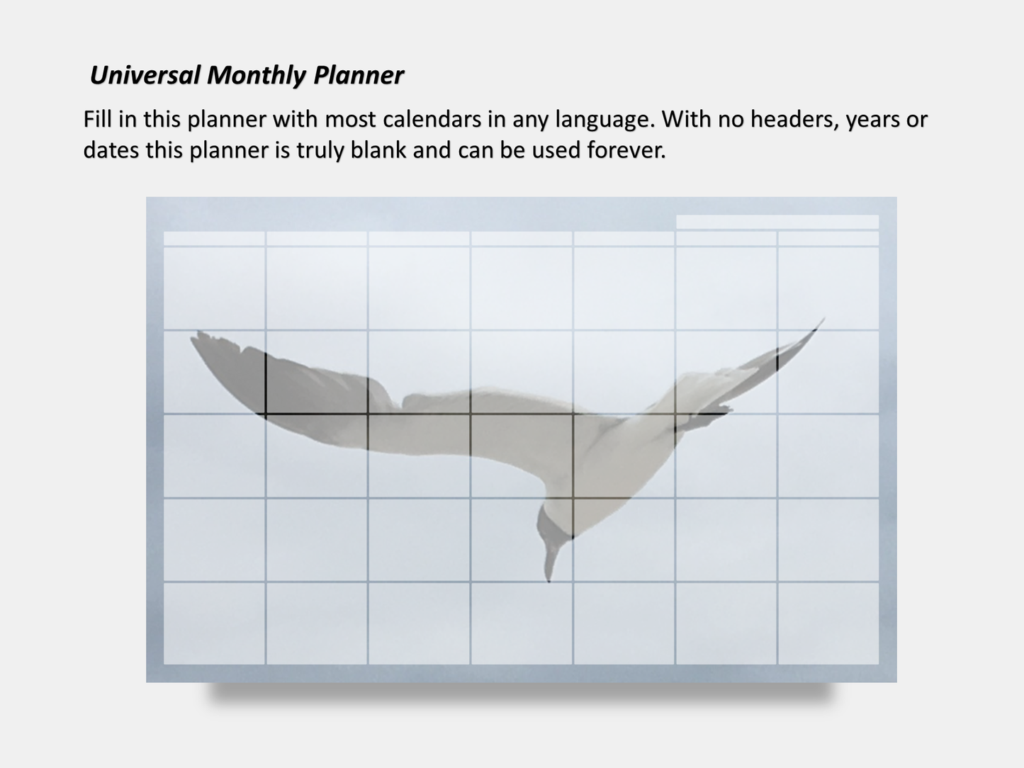 Digital Multipurpose Planner- Flying Seagull Macro Photography