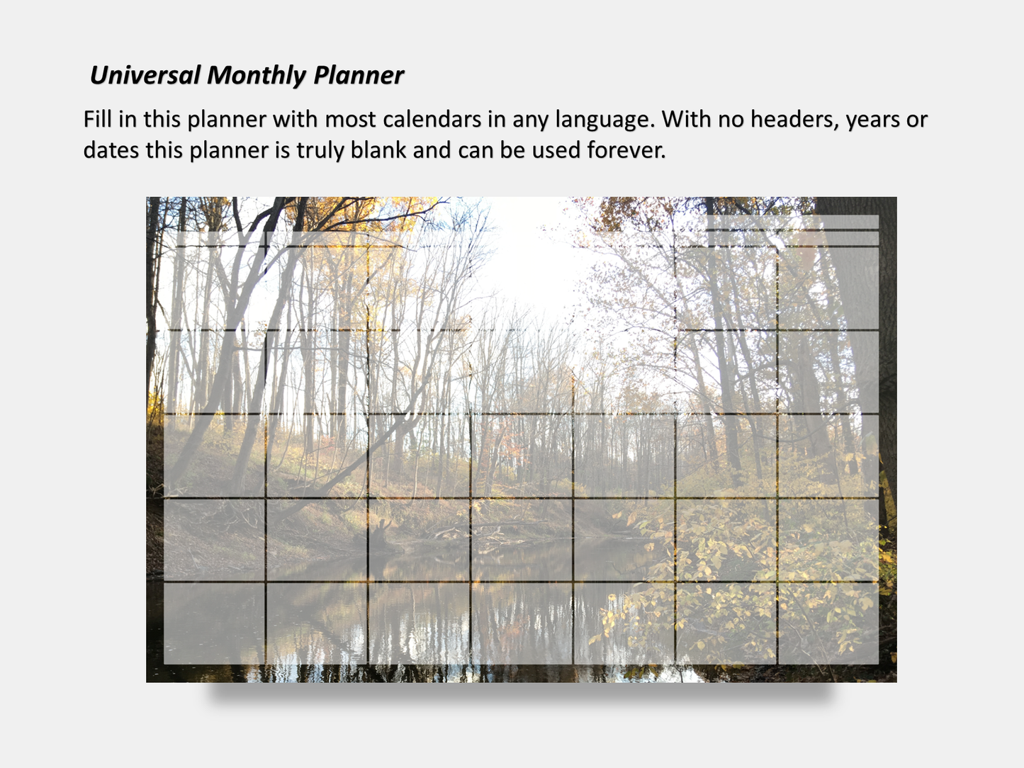 Dry Erase Magnetic Multipurpose Planner- Autumn Reflections