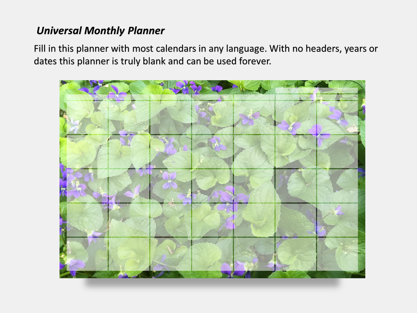 Dry Erase Magnetic Multipurpose Planner- A Field of Violets