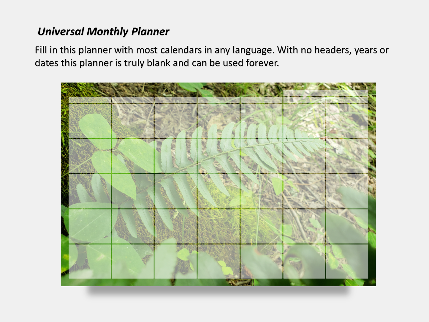 Dry Erase Magnetic Multipurpose Planner- Green Fern