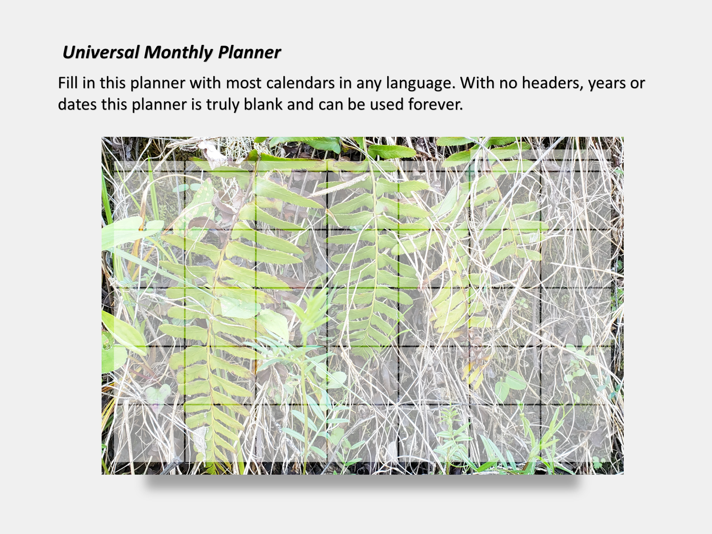 Dry Erase Magnetic Multipurpose Planner- A wall of green and yellow ferns