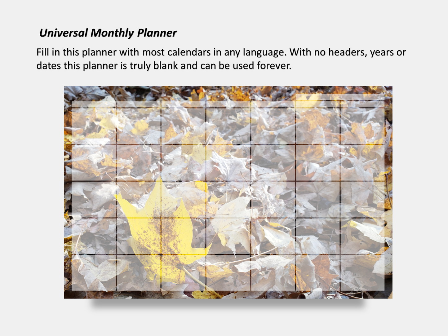 Digital Multipurpose Planner- A Golden Forest Floor