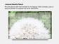 Digital Multipurpose Planner- Dandelion Make a Wish