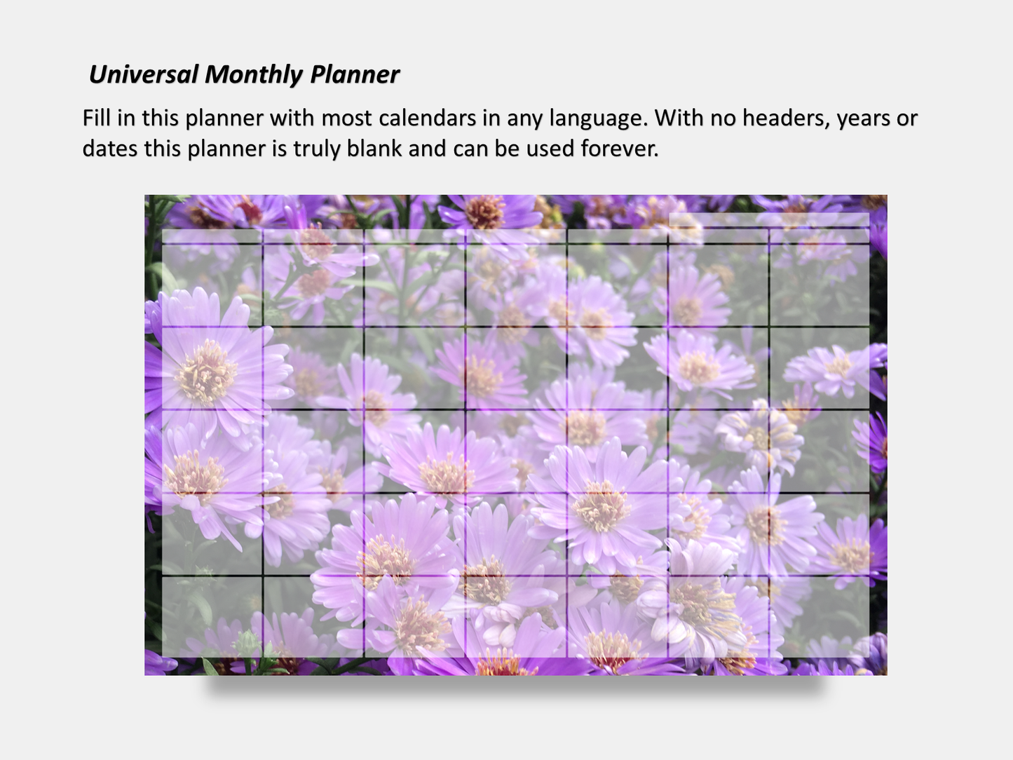 Dry Erase Magnetic Multipurpose Planner- Purple Asters 2