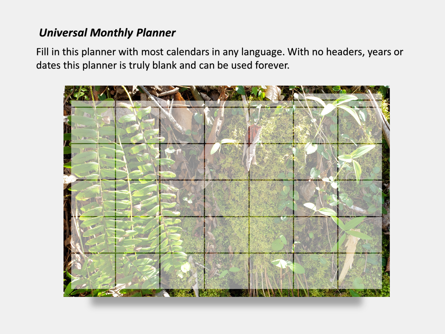 Digital Multipurpose Planner- A mossy cliff with ferns