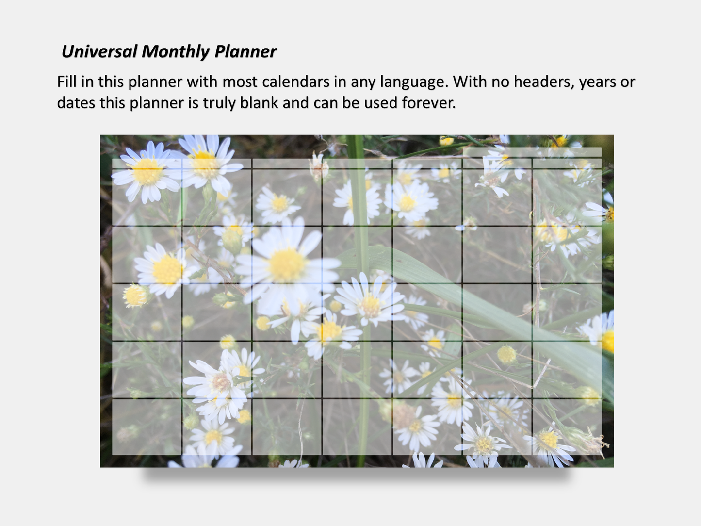 Digital Multipurpose Planner- Frost Aster Flowers