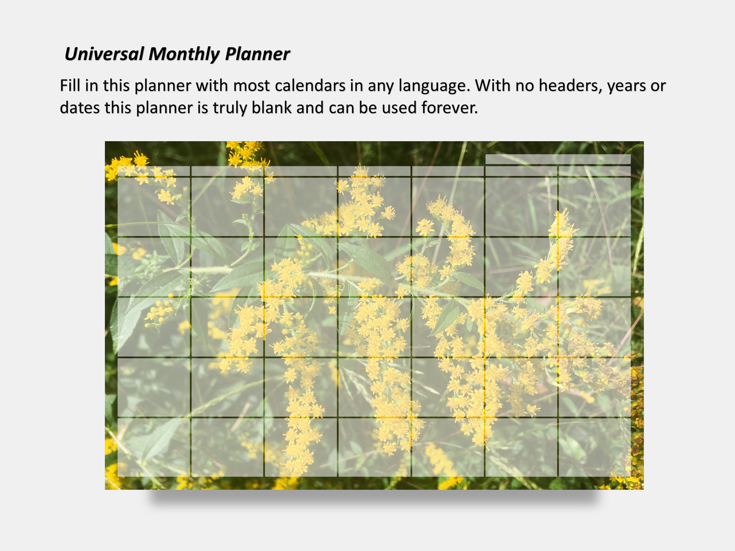 Digital Multipurpose Planner- Golden Rod Macro Photography 3